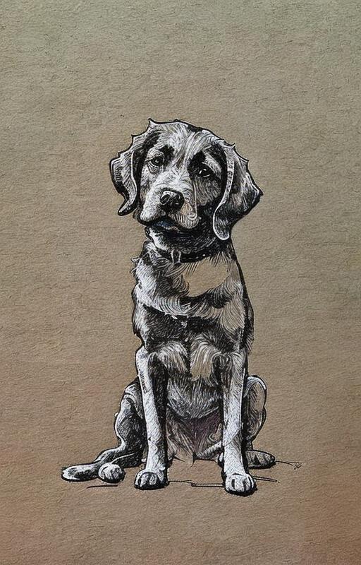 05908-3837020638-2251-dog,  art, nty, drawing,  miniature, __.png